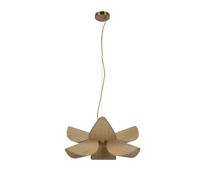 Lys piekaramā lampa